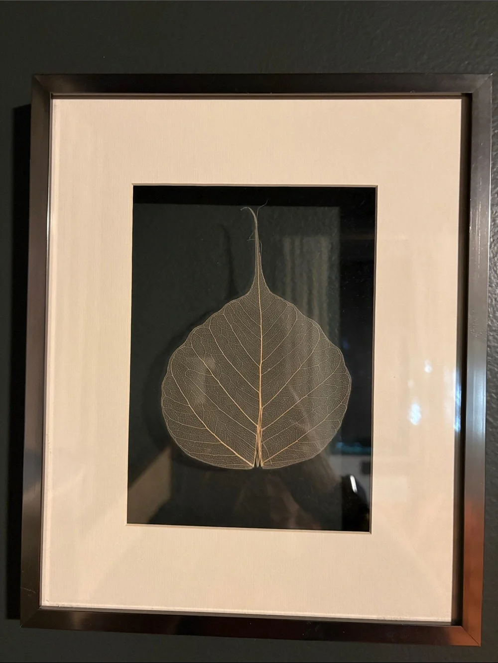 Neutral Skeleton Leaf Framed Wall Art - Set of 2